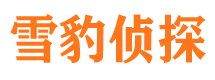 平武市婚外情调查